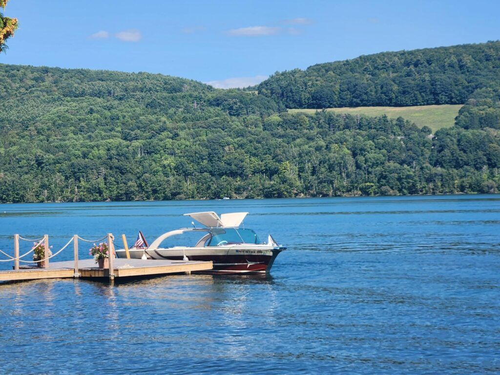 1962 Century Coronado Gull Wing Hardtop - image 6