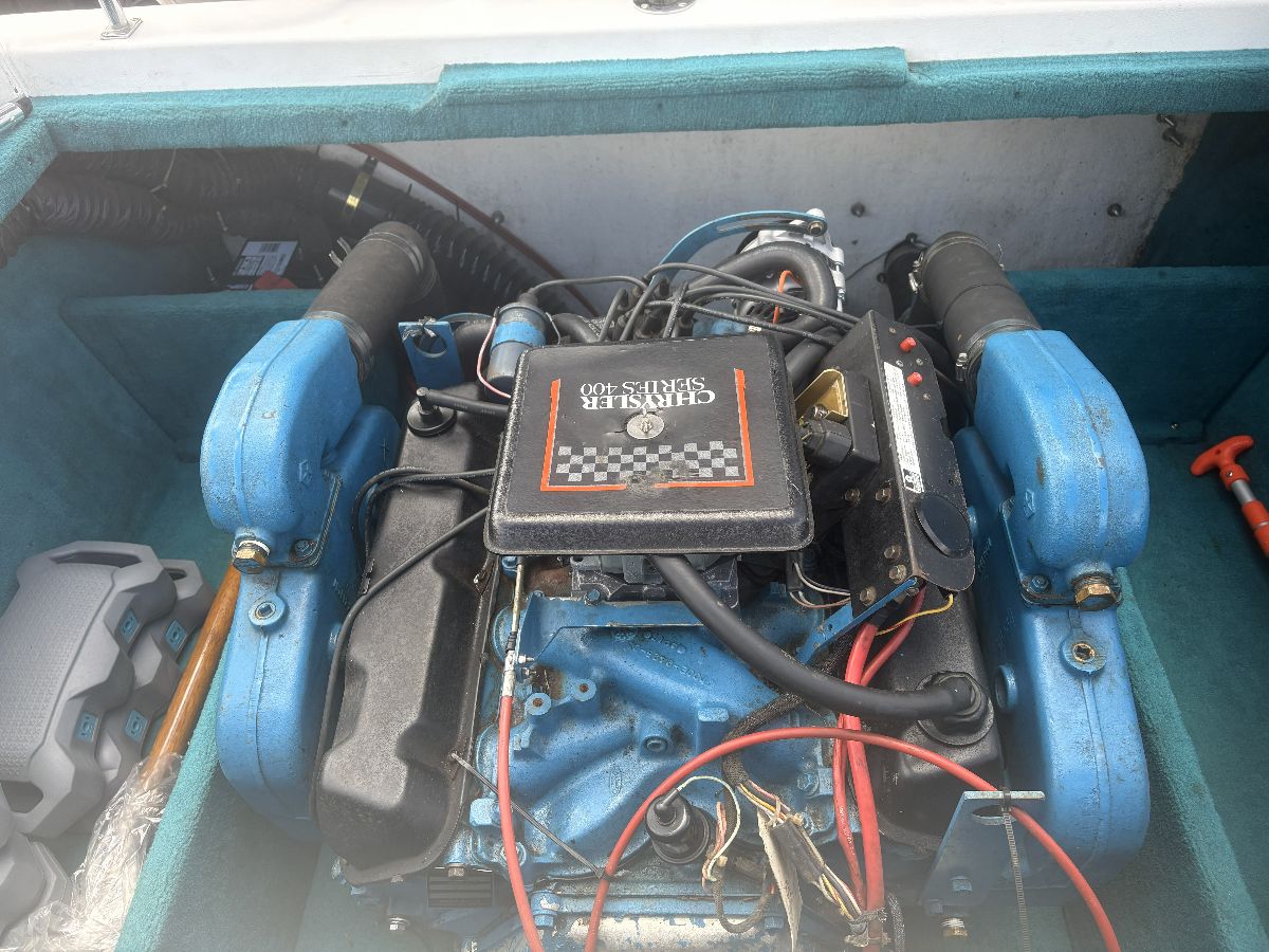 1993 Century Arabian - image 8