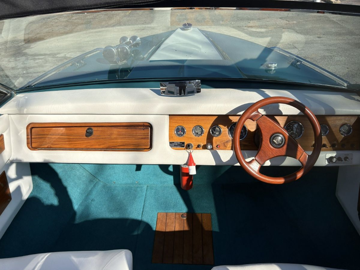 1993 Century Arabian - image 6