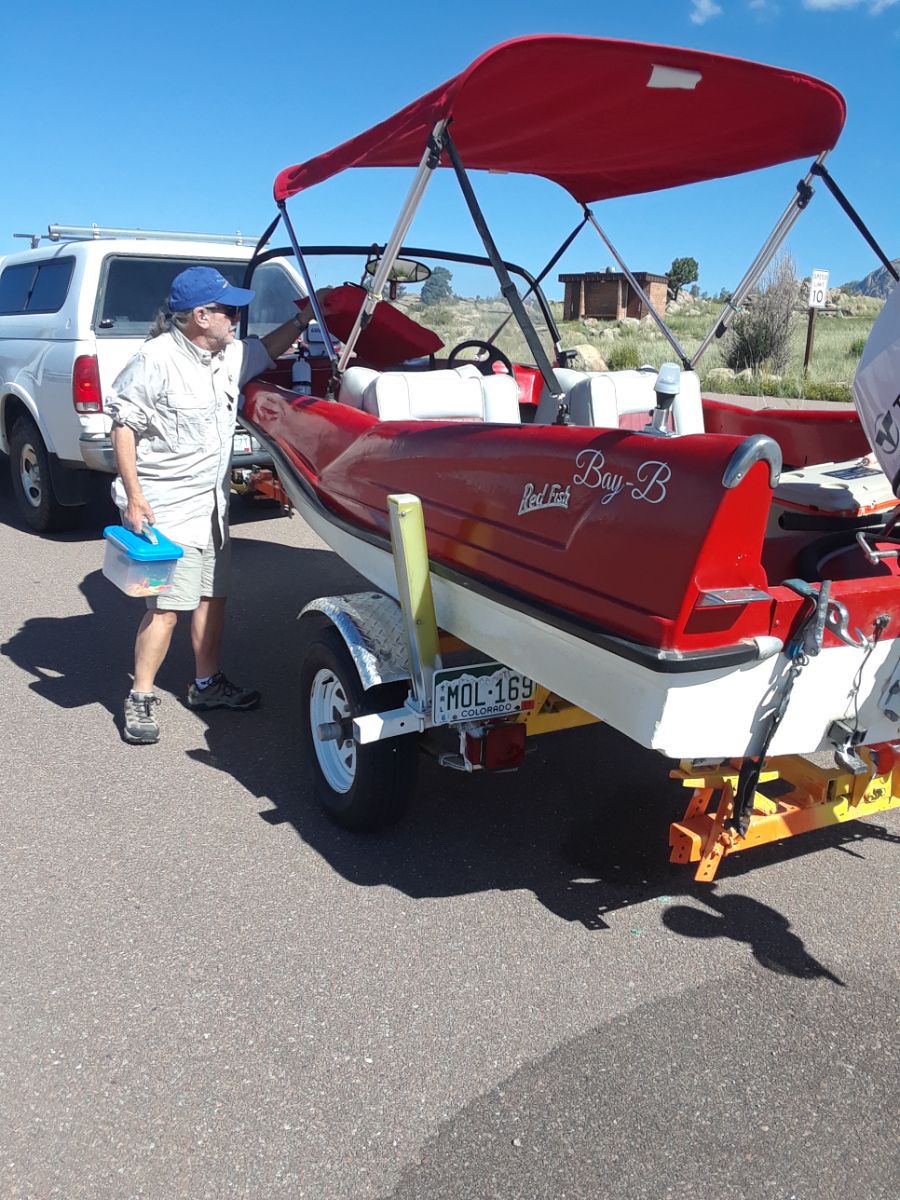 1959 Other Redfish Shark - image 5